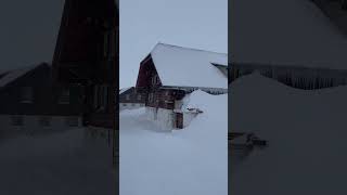 📌 Engstligenalp Adelboden Switzerland 🇨🇭🌨️❄️ [upl. by Oznerol]