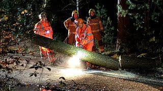 Brandweer zaagt boom weg die over de Noorderweg hing in Nunspeet [upl. by Ycnan]