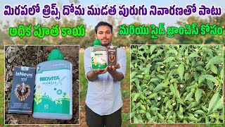 Dhanuka Lanevo Insecticide  Lanevo new insecticide  lanevo full details in telugu use in chilli [upl. by Nilya]