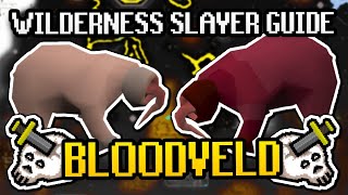 Bloodvelds Wilderness Slayer Quick Guide  EXTREMELY LOW RISK amp Budget Setup OSRS 2024 Easy Guide [upl. by Mercy321]