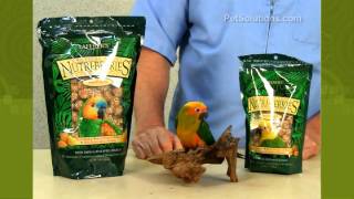 PetSolutions Lafebers Nutri Berries Tropical Fruit Flavors for Pet Birds [upl. by Aisor432]