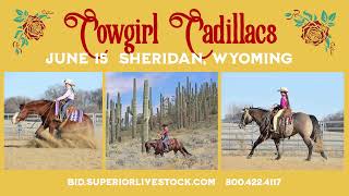 Cowgirl Cadillacs Horse Sale June 15 2024 [upl. by Oirramaj61]