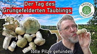 Der Tag des Grüngefelderten Täublings  Wunderbare Pilze im Juli 2024 [upl. by Anneuq]