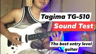 Tagima TG510 HSS Woodstock Series Electric Guitar [upl. by Aldis670]