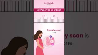 When should I see a gynaecologist for pregnancy gynecologistdubai pregnancyguide [upl. by Lesiram]