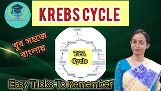 TCA CYCLE ।।Easy trick to Remember ।। Bengali Nursing Learner [upl. by Akenahs507]