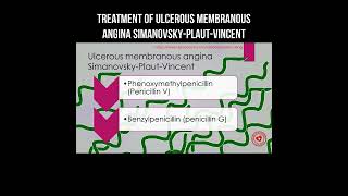 Treatment of ulcerous membranous angina SimanovskyPlautVincent angina infection health [upl. by Mclaughlin]