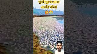 ভাইটির অনেক বড় ক্ষতি হয়ে গেল।😥🙆youtubeshorts fish sort [upl. by Kalvn230]