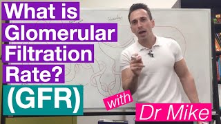 Glomerular Filtration Rate GFR  Renal System [upl. by Ytima]