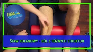 Ocena stawu kolanowego  objawy bólowe z różnych struktur 99 FizjoTerapia HD [upl. by Novhaj]