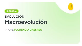 Macroevolución  Biología  Evolución  V10  Egg Educación [upl. by Ahsinauj594]