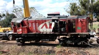 GUINCHOS DESTOMBANDO LOCOMOTIVA [upl. by Tlihcox569]