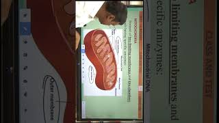 Mitochondria Cristae Cell NEET Biology [upl. by Kale351]