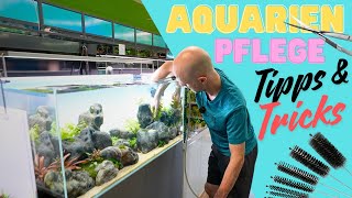 Wöchentliche Aquarienpflege im Detail erklärt  Alle Tricks und Tipps in einem Video [upl. by Uzzi]