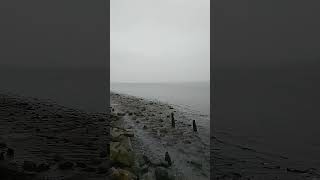 A murky Ferriby foreshore East Yorkshire [upl. by Orrocos469]