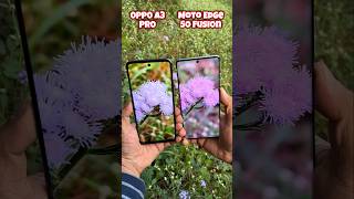 Oppo A3 Pro vs Motorola Edge 50 Fusion Camera Test oppoa3pro edge50fusion trending shorts [upl. by Notse]