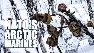 NATO’s Arctic Marines – Journey through the High North [upl. by Markus64]