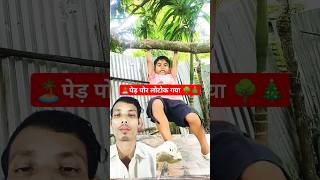 🌳पेड़ पोर लोटोक गया🙆‍♀️ shortytshorts kides kiddies shortvideos kide video kidesshort [upl. by Cilla133]