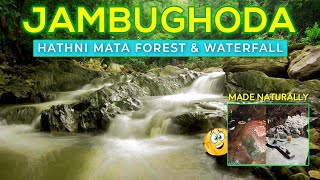 JAMBUGHODA  HATHNI MATA WATERFALL amp FOREST  Need to Know BEFORE You Go vadodara travel [upl. by Binni]