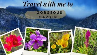 TRAVEL WITH ME TO GORGEOUS GARDEN  EXPLORING NATURE  BEAUTIFUL FLOWERS  VISHAL VK [upl. by Rogers]