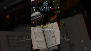 surah al anaam ayah 104107  Quran translation in urdu  shorts [upl. by Yentuoc]