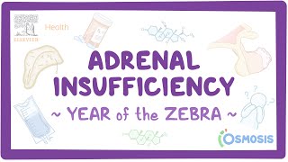 Adrenal insufficiency Year of the Zebra [upl. by Selim]