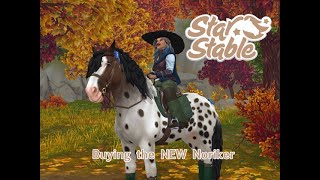 Buying the BRAND NEW Noriker horse 🐴  Star stable online [upl. by Elag]