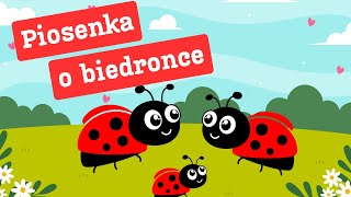 Biedroneczka  piosenka o biedronce  piosenki dla dzieci [upl. by Anak]