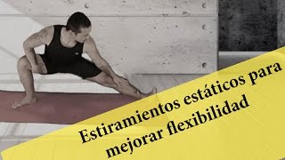 Ejercicios de estiramientos estáticos para mejorar la flexibilidad [upl. by Nonnahsal]