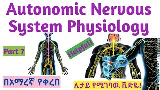 Autonomic Nervous System Physiology NS module Part 7 New Ethiopian Curriculum in Amharic Speech [upl. by Braunstein68]