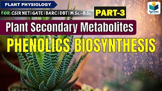 PLANTS SECONDARY METABOLITESPART3  PHENOLICS BIOSYNTHESIS CSIR NET [upl. by Llenrag305]