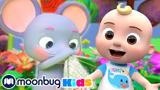 The Sneezing Song  CoComelon One Hour Sing Along  Learn ABC 123  Fun Cartoons  Moonbug Kids [upl. by Anelle]