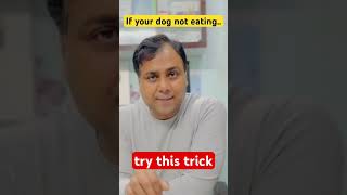 If your dog not eating food try this trick [upl. by Aelam688]