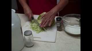 Fresh Cabbage ColeSlaw Dressing Recipe [upl. by Maloy284]