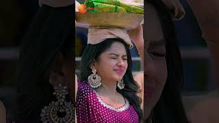 Srinu gives relief to Aadhya  Padamati Sandhya Ragam shorts I Mon Sat 8PM I Zee Telugu [upl. by Guinevere245]