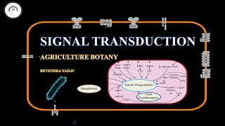 SIGNAL TRANSDUCTION  How Cells Communicate  DEVENDRA YADAV [upl. by Vidovik]