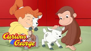 Learning About Animals with George 🐵 Curious George 🐵 Kids Cartoon 🐵 Kids Movies [upl. by Omer568]