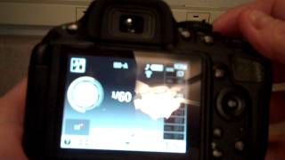 How to switch between menu items and the viewfinder on a Nikon DSLR D5100 [upl. by Wootan]