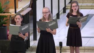 Abendlied by Felix Mendelssohn SCI2017 [upl. by Gnal]