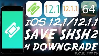 iOS 1211  iOS 121 How To Save SHSH2 BLOBS FOR FUTURE DOWNGRADES  JAILBREAK [upl. by Esina]