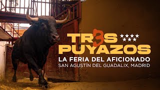 3 PUYAZOS  La feria del aficionado 💥 [upl. by Trammel]