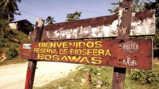 Forestería comunitaria en Mesoamérica Community Forestry Management [upl. by Kaya]