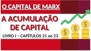 A ACUMULAÇÃO DE CAPITAL  O CAPITAL DE MARX Livro I Caps 2123 VID 13 [upl. by Fenny873]