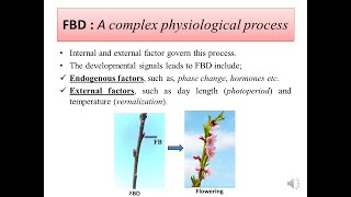 Fundamental of Horticulture Flower Bud Differentiation FBD horticulture fruit FBD [upl. by Akihsan254]