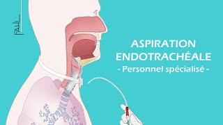 Aspiration endotrachéale pour le personnel soignant  animation  Fahl MedizintechnikVertrieb GmbH [upl. by Halik772]