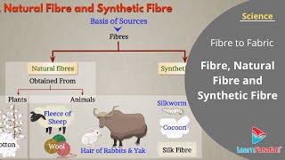 Fibre to Fabric Class 6 Science Chapter 3  Fibre Natural Fibre and Synthetic Fibre [upl. by Teresa]