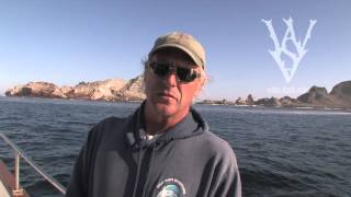 Boat Captain Tells Truth of SPOT Tagging OCEARCH at The Farallones [upl. by Gnilhsa]