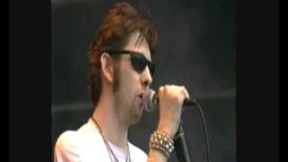 Cracklin Rosie  Shane Macgowan and the Popes  Pinkpop 1995 [upl. by Faustina412]