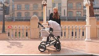 Bambimo Kinderwagen 3 in 1 von Daliya ®  Kombikinderwagen unterwegs im Freien Jetzt bestellen [upl. by Sapienza653]