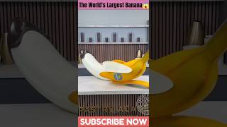 The Worlds Largest Banana🍌😱ytshorts shortfeed youtubeshorts unitedstates [upl. by Ynnij]